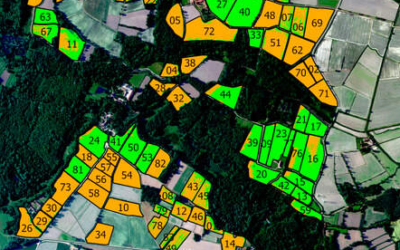 I DATI DAI SATELLITI PER UNA RISAIA SOSTENIBILE