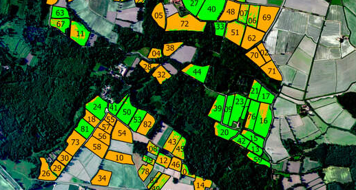 I DATI DAI SATELLITI PER UNA RISAIA SOSTENIBILE