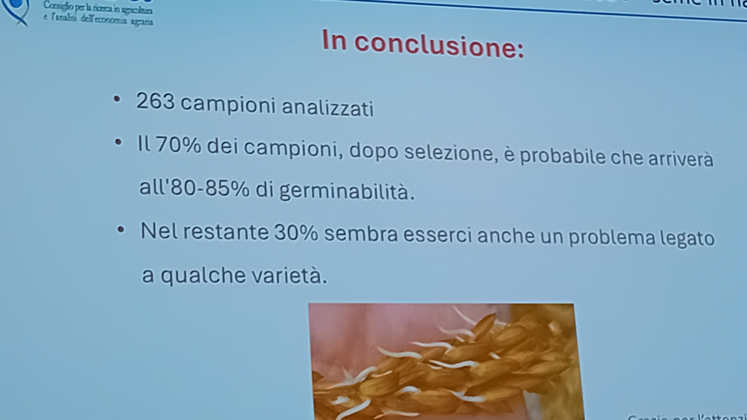 germinabilità