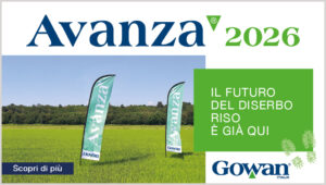 Il successo della risicoltura passa innanzitutto da un buon controllo delle erbe infestanti.