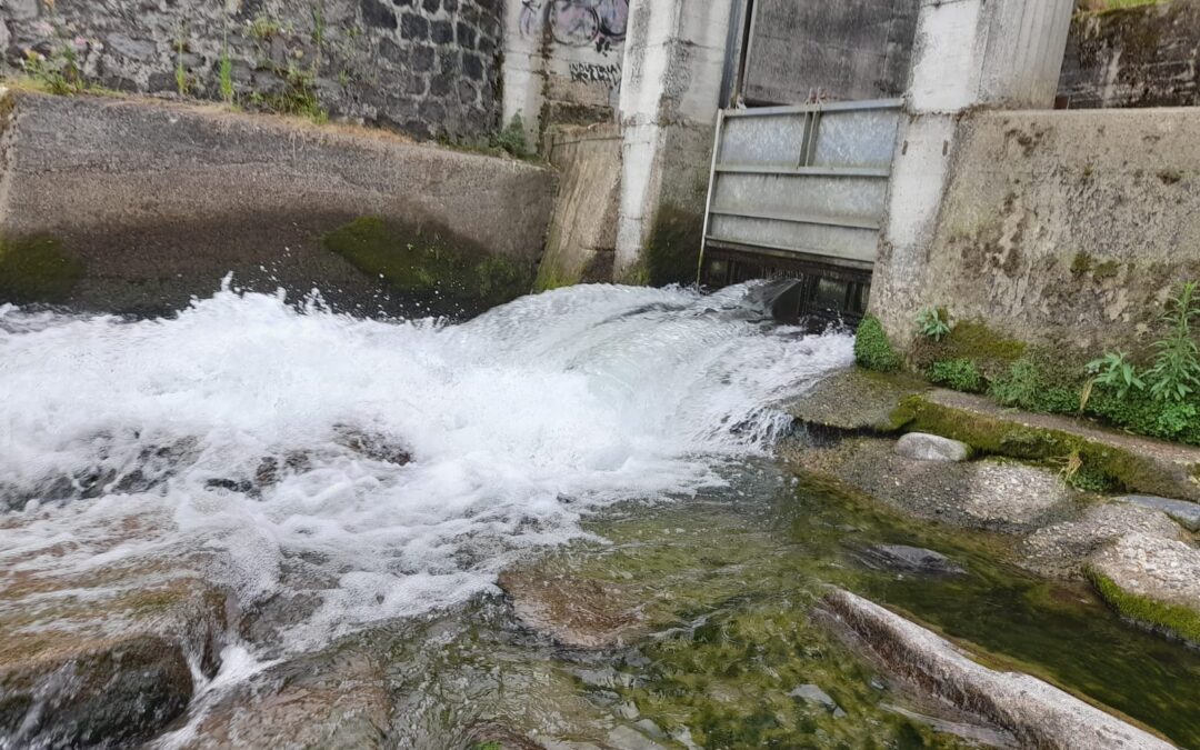 TAGLIATA L’ACQUA ALLA BARAGGIA