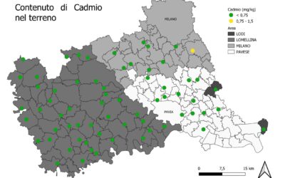 «NELLE RISAIE CADMIO NELLA NORMA»