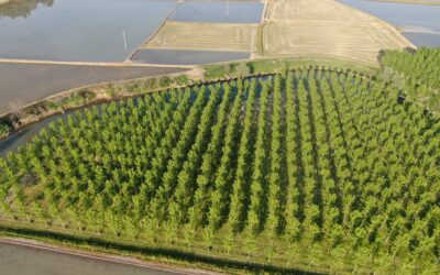 AGROAMBIENTE E BIO IN LOMBARDIA