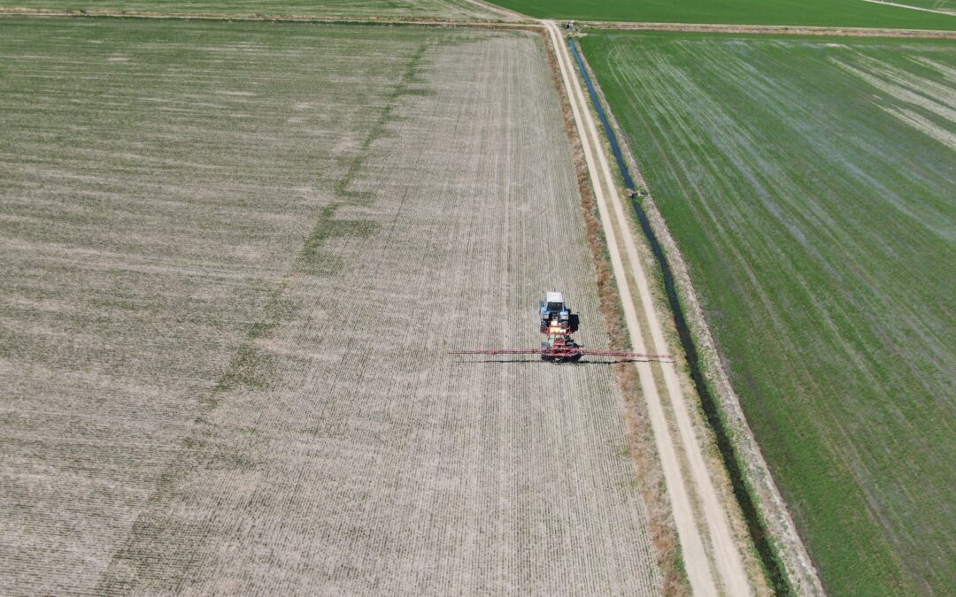 QUADERNO DI CAMPAGNA INFORMATIZZATO