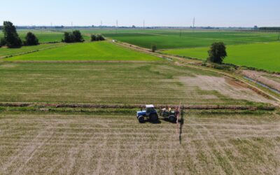 AGROFARMACI AUTORIZZATI SU RISO