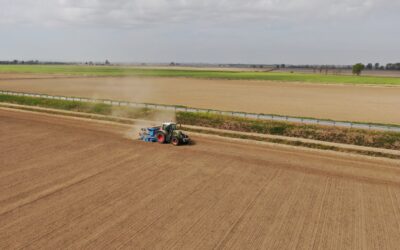 SITUAZIONE DEI MERCATI AGRICOLI