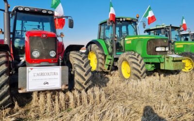 PROTESTA IN RISAIA