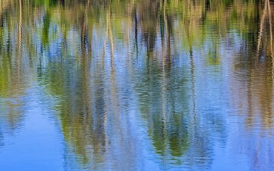 DEFLUSSO ECOLOGICO IN LOMBARDIA