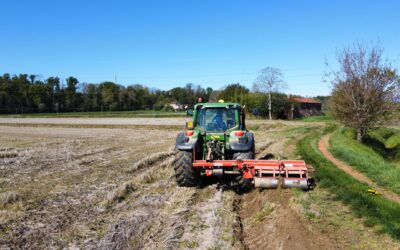 FERTILIZZANTI DA APOCALISSE