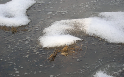 REGOLE LOMBARDE DELLA SOMMERSIONE INVERNALE