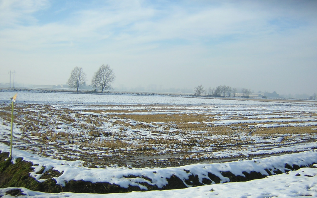 REGOLE DELLA SOMMERSIONE INVERNALE IN PIEMONTE