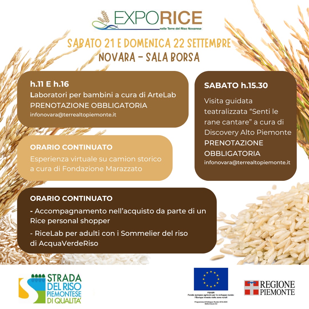 Expo rice