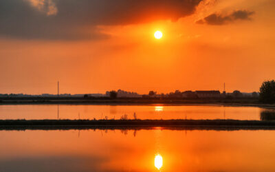 BUONA PASQUA DI ACQUA PER TUTTI